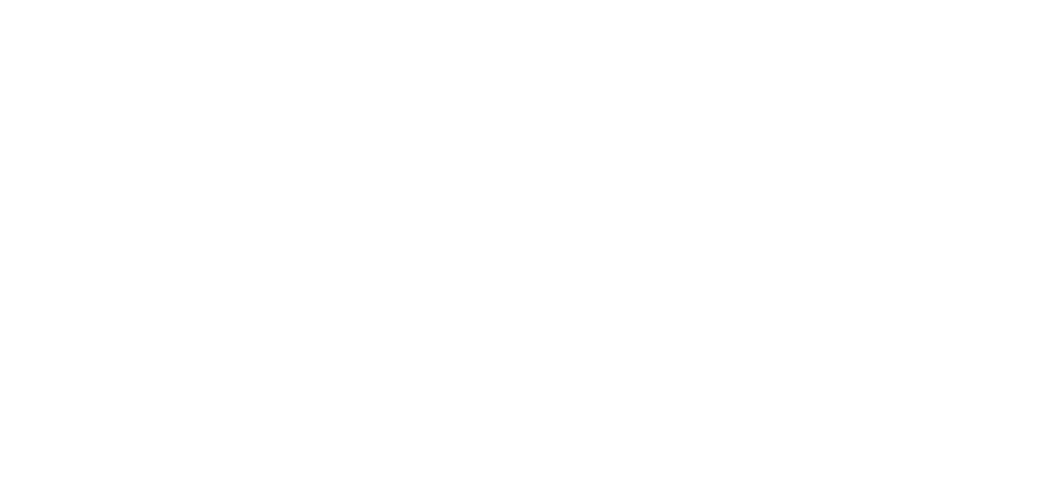 ANMATIC